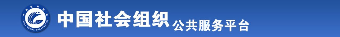 插b网网址全国社会组织信息查询